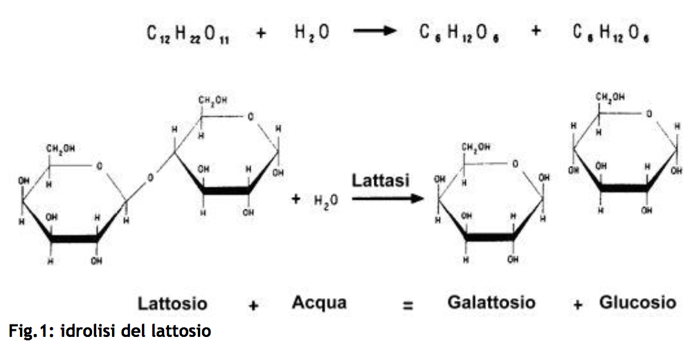 intolleranza al lattosio