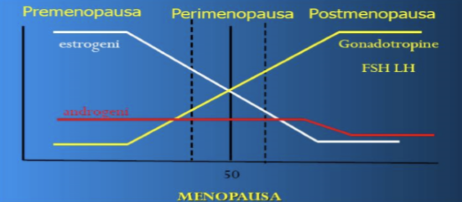 menopausa e alimentazione