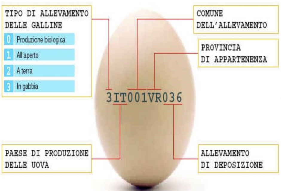 LE UOVA GENARALITA’, CLASSIFICAZIONE ED ETICHETTATURA SmilEat di Adriano Arcuri LE UOVA GENARALITA’, CLASSIFICAZIONE ED ETICHETTATURA SmilEat di Adriano Arcuri